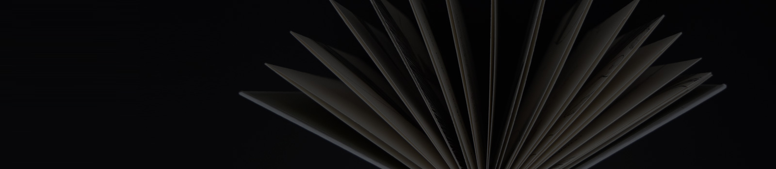 Header Image